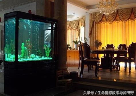 魚缸招財法|【風水特輯】想催財就在家裡「這邊」放魚缸！養魚風。